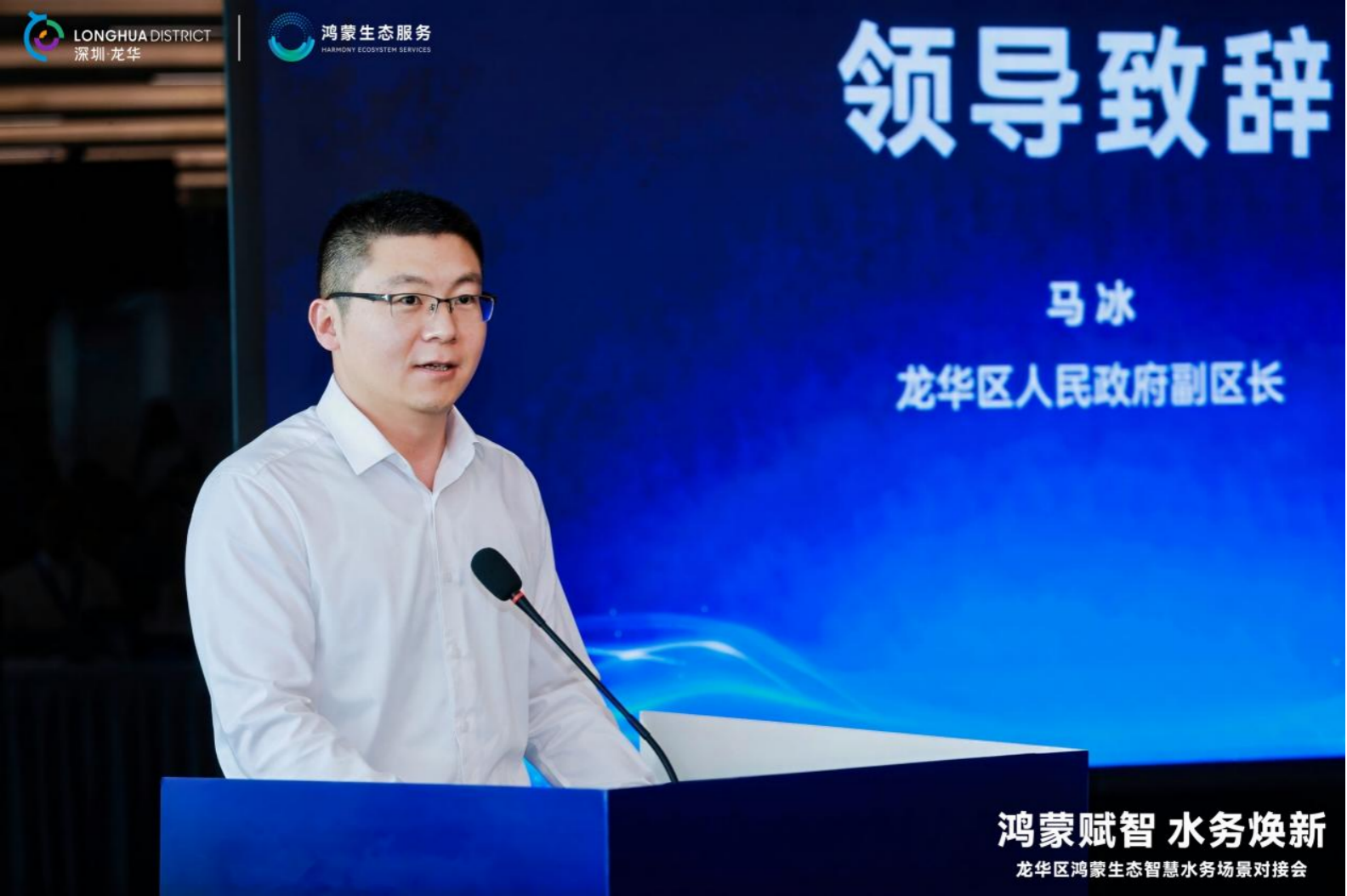 龙华区人民政府副区长 马冰