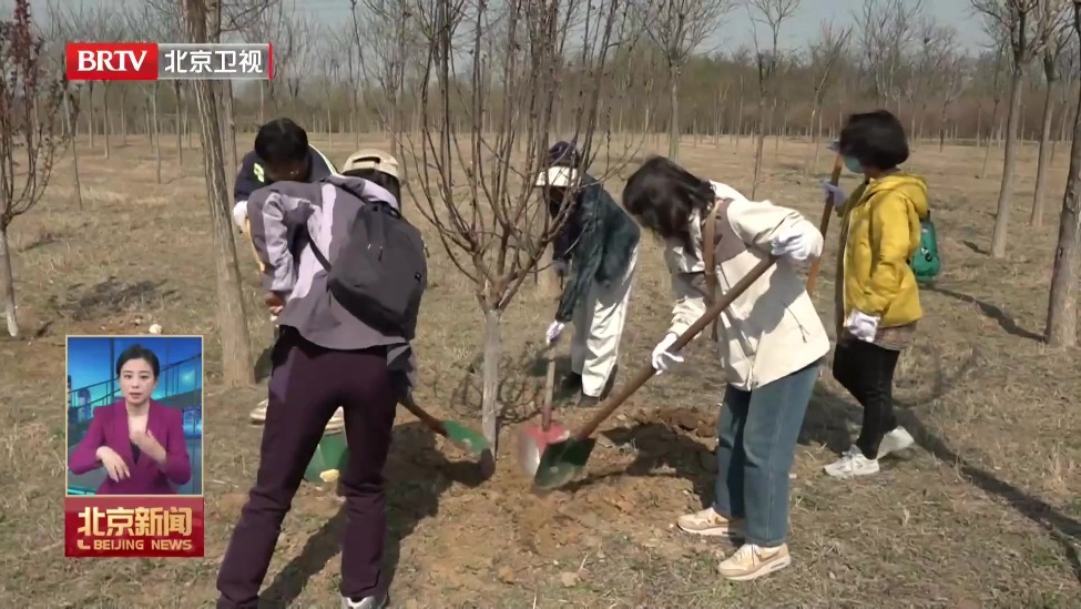 “中外友谊林”义务植树活动举办