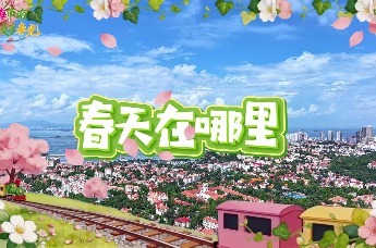 凤凰视频|藏不住了，市南的春天浪漫到犯规！