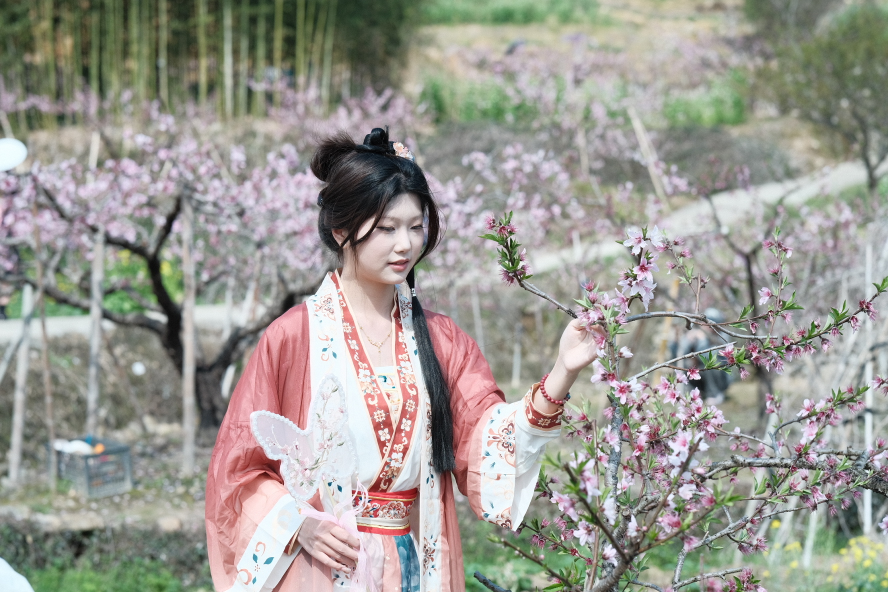 从教室到田野：这所高校的课堂竟然“搬”进了千亩桃林！