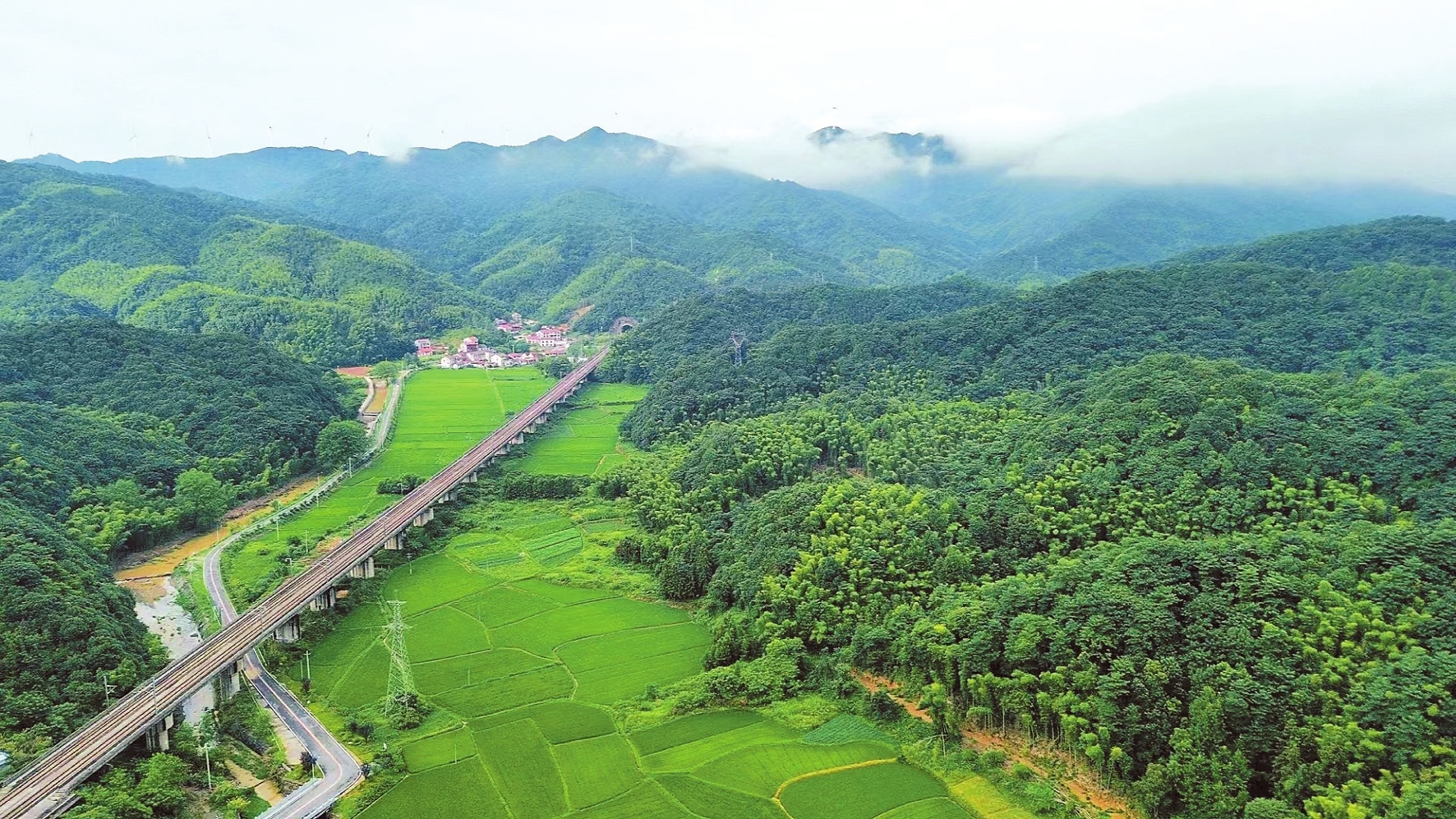 满目新绿的云溪双清生态旅游区。