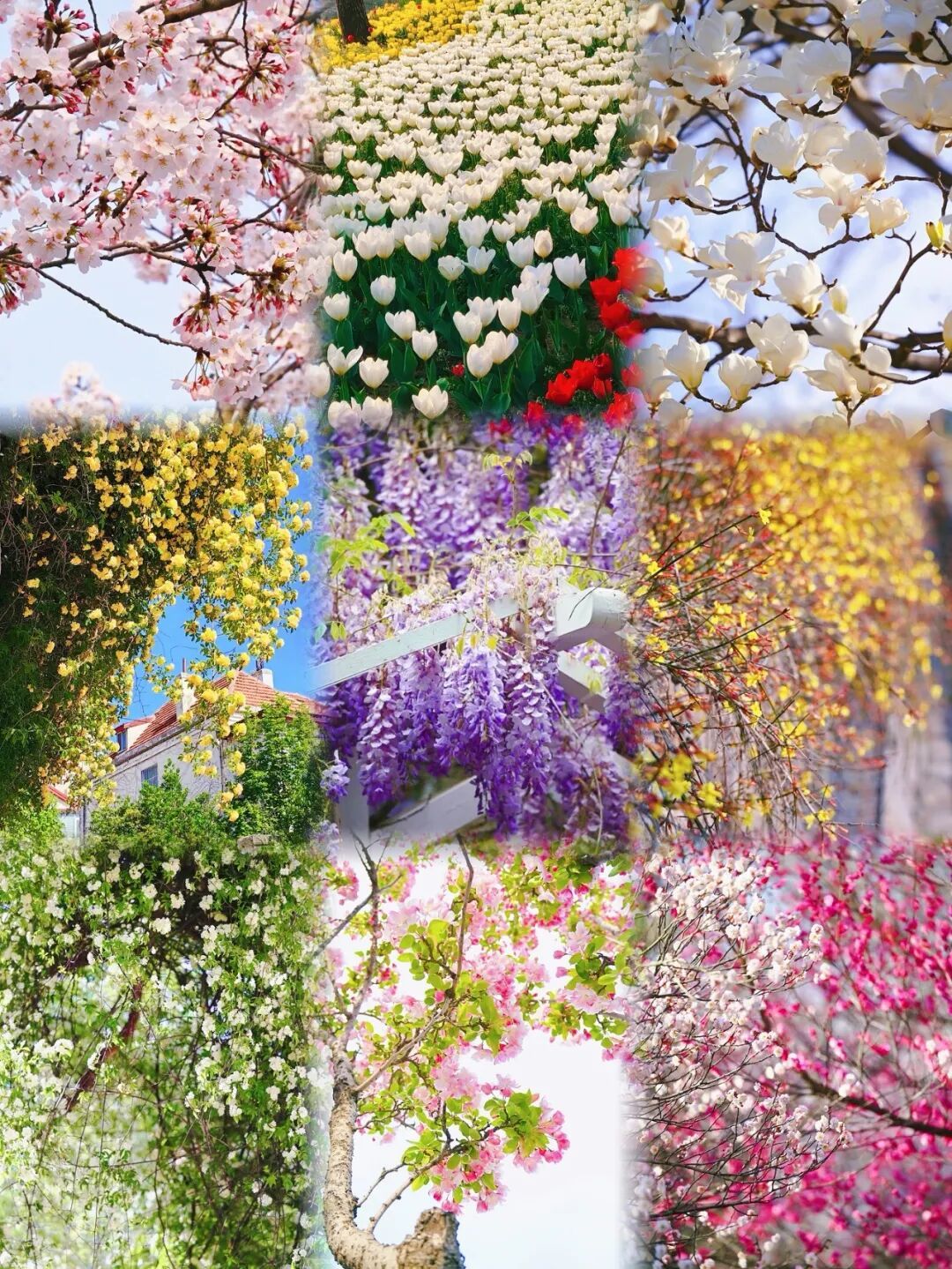 ��ͼƬ��Դ��С����@Andrew