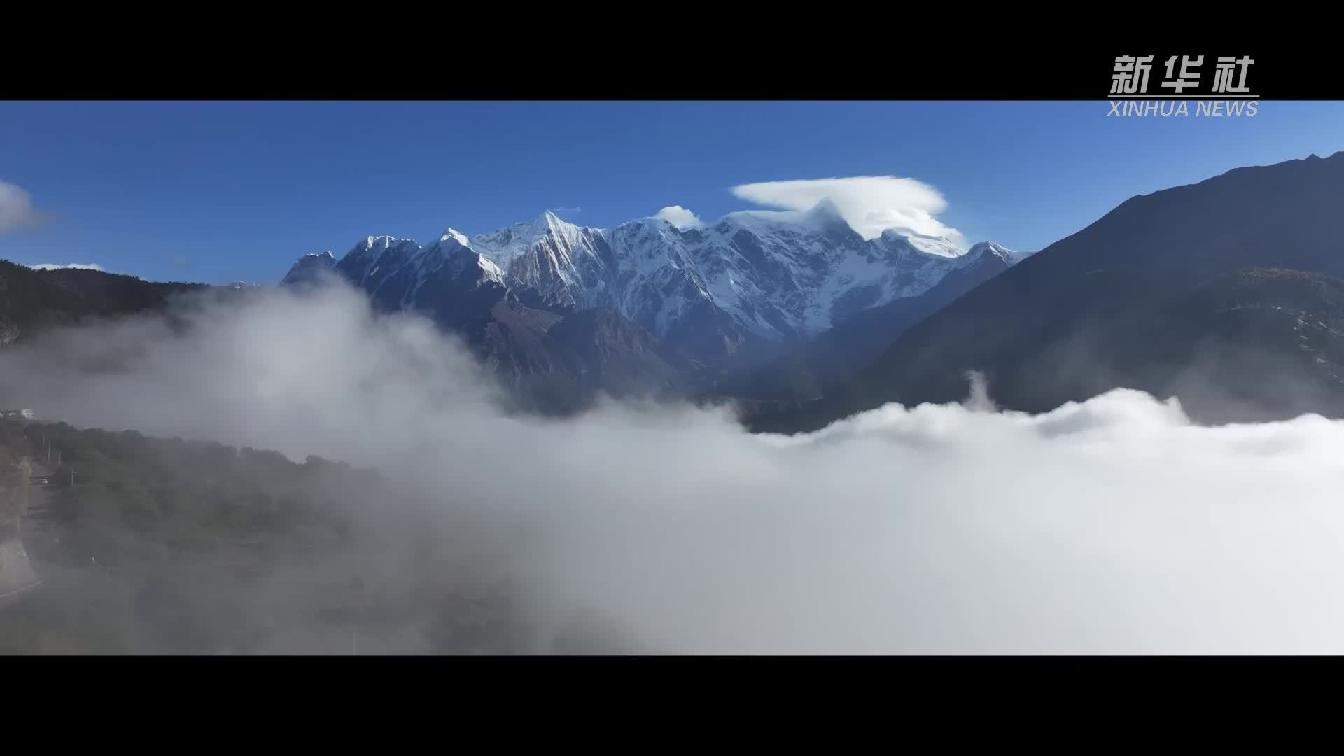 国际爱鸟日|在西藏守望翩跹羽族