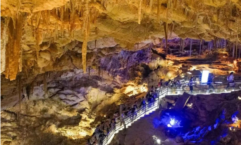 春假去哪玩？南京江宁“放大招”：研学、赏花、首店经济全攻略