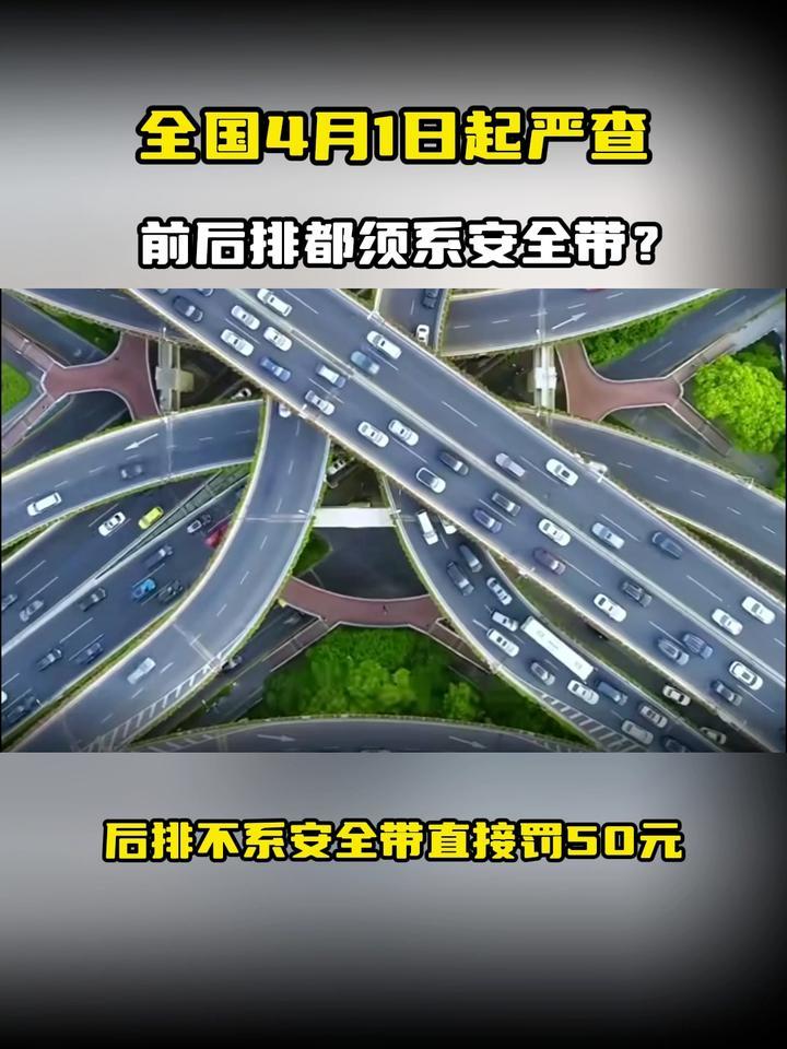全国4月1日起严查，前后排都须系安全带？后排不系安全带罚50元
