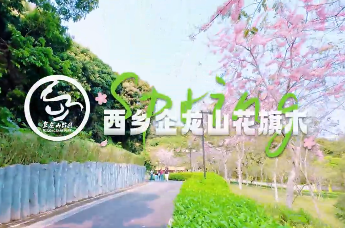 企龙山秘境，藏着一整个春天的温柔