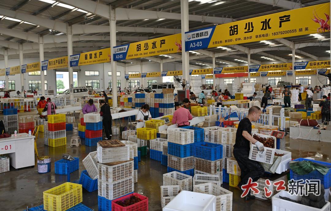 永修县小龙虾交易市场火爆 宋建明摄