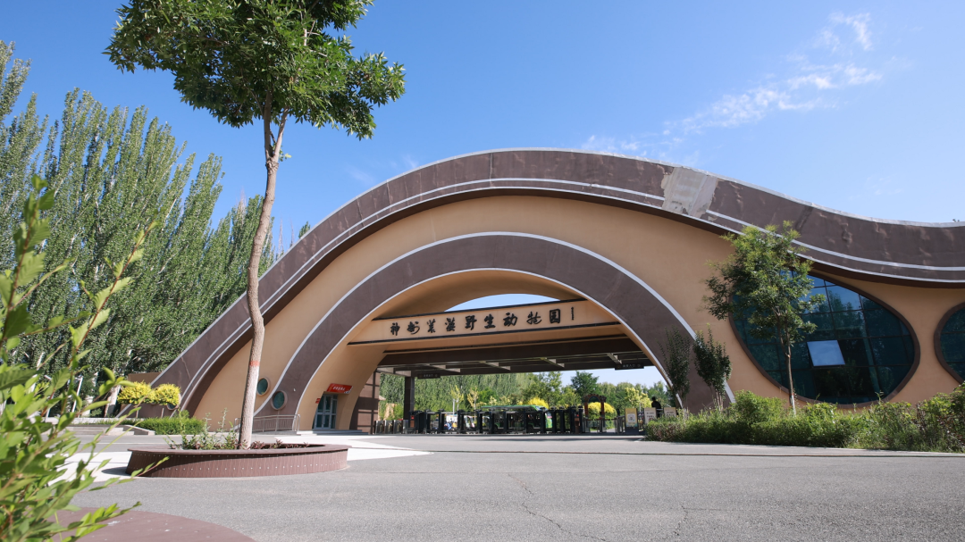 神州荒漠野生动物园(摄影:吴剑斌)