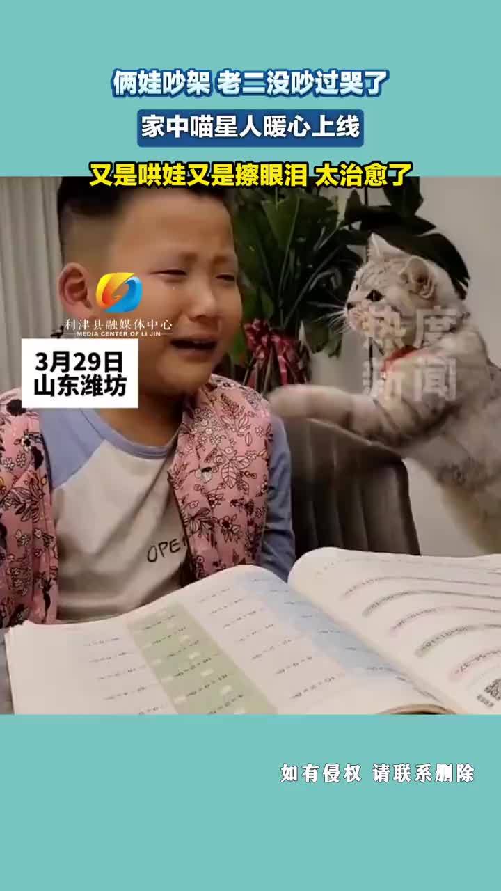 小孩大哭猫咪边哄边擦眼泪