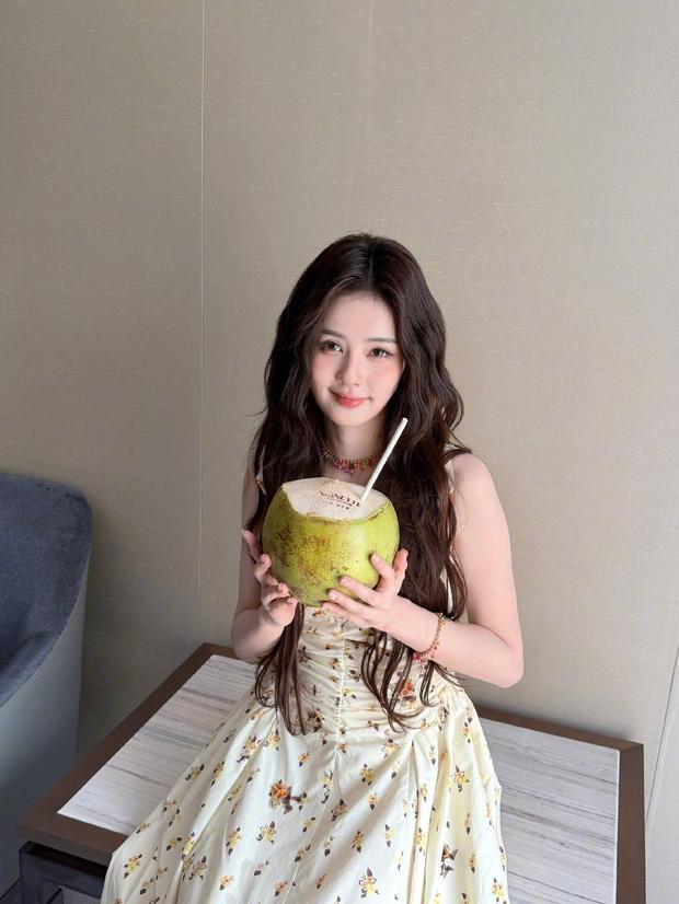 白鹿元气又活力。