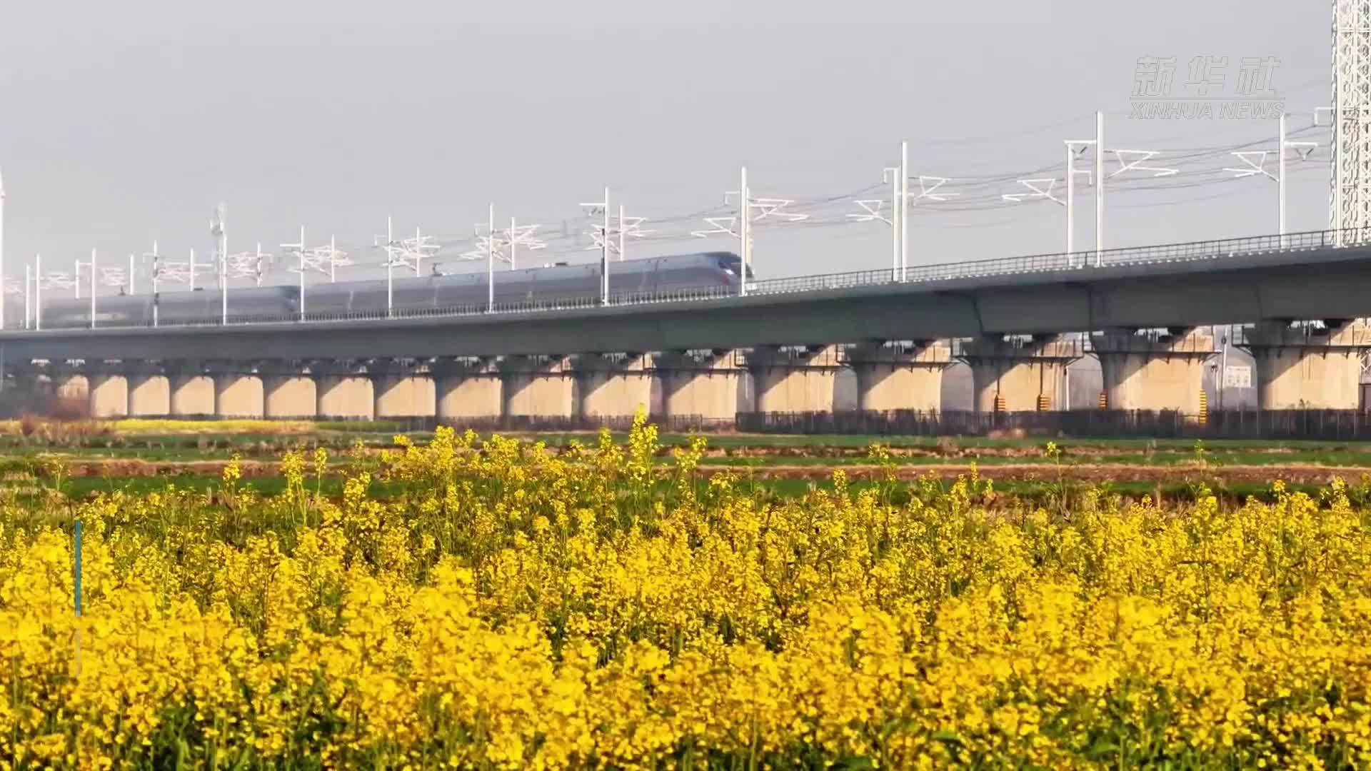 湖北荆门：高铁枢纽地“赏花经济”热