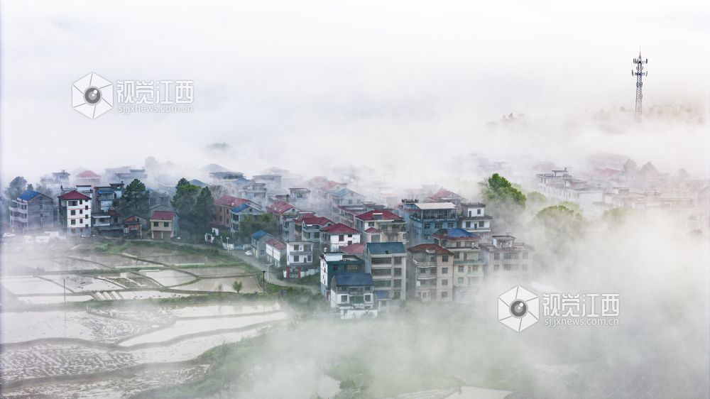 暴雨过后，吉水清晨天朗气清，经雨水冲刷后的景致洁净透亮，天地间澄澈如新，处处彰显着雨后的清新与生机，构成一幅雅致的清晨图景。