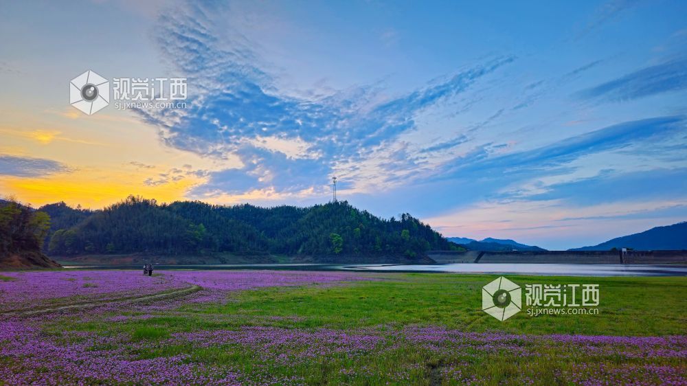 2026年4月1日,江西省宜春市袁州区彬江镇,天空多姿多彩的云霞与地上光影斑斓的红花相映成趣,美不胜收。