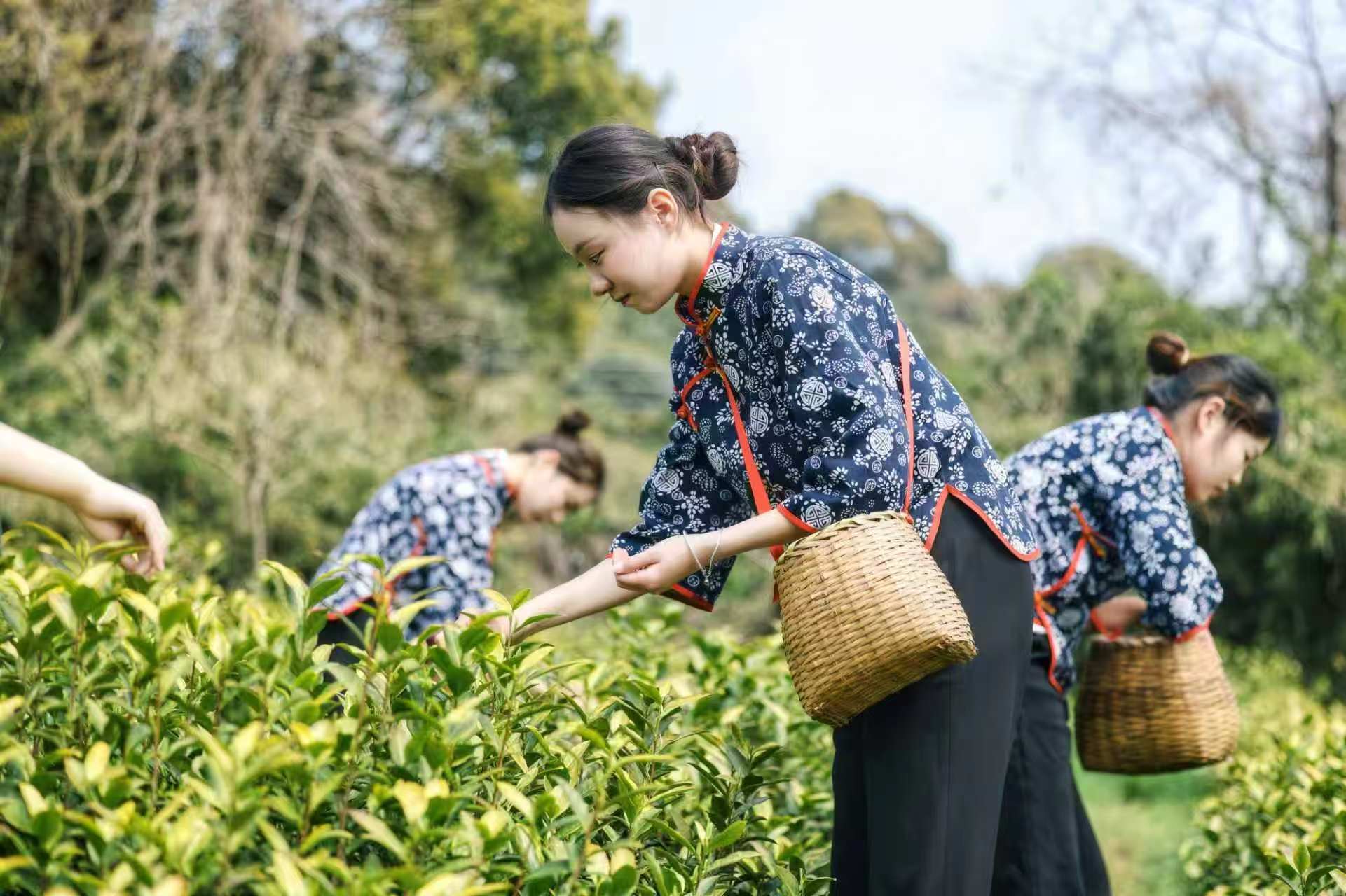 图片来源：魅力马山