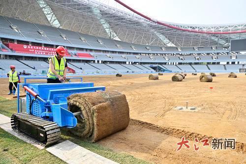 正在铺设草皮 全媒体记者王祺摄