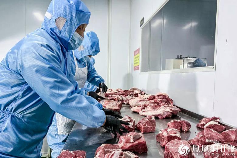 张家川建立起红花牛养殖—屠宰—加工—餐饮的完整产业链