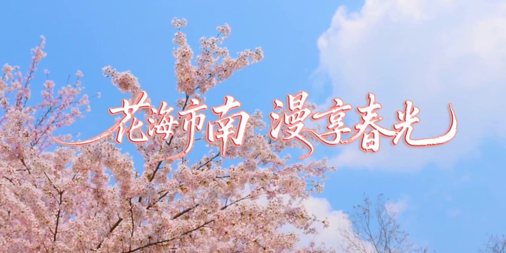 凤凰视频|“花海市南·漫享春光”，邀您走进春天里的市南