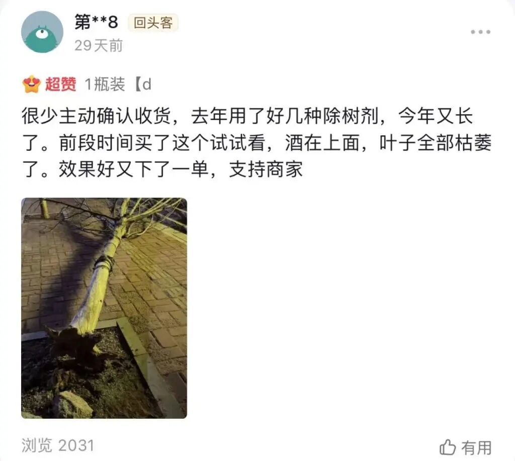 有买家晒出公路边行道树倒下的照片,称“效果好”。