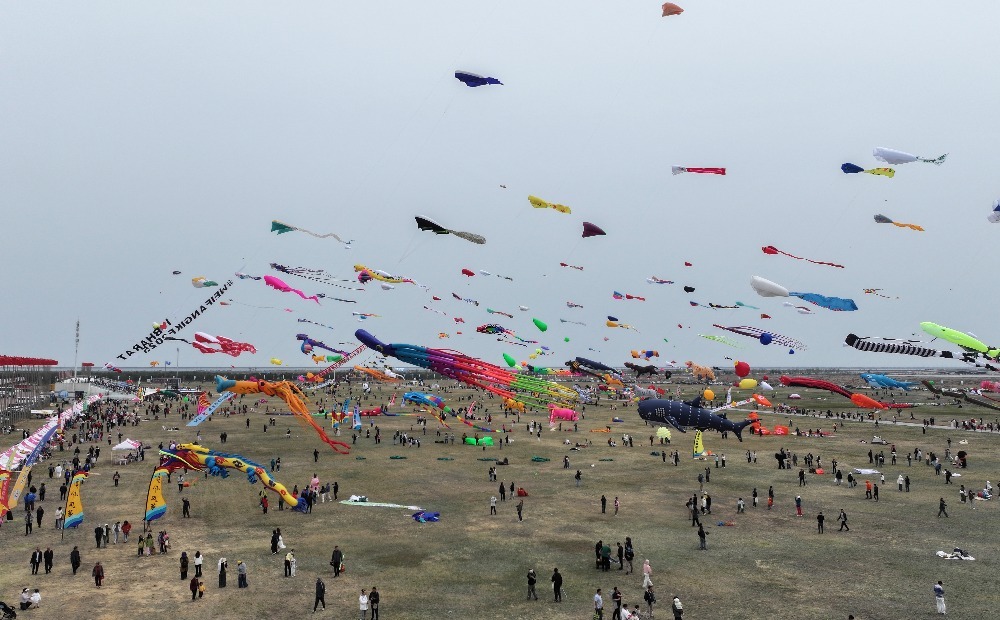 渤海湾畔万筝齐飞 潍坊风筝会邀你来滨海打卡