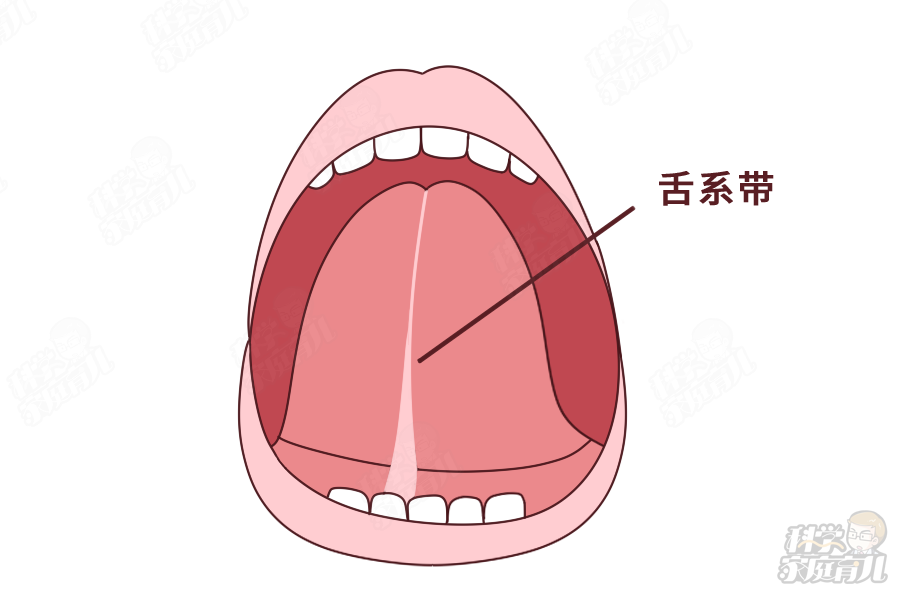 图片来源：科学家庭育儿原创