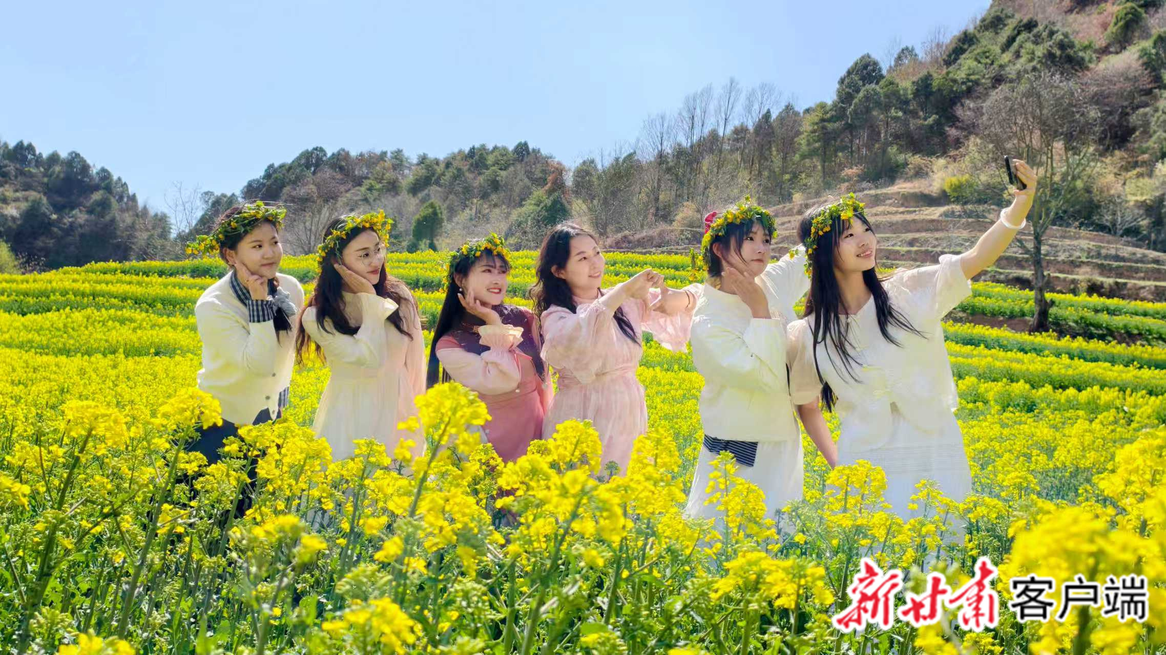 春季，陇南风光明媚。