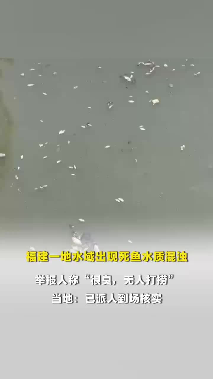 福建一地水域出现死鱼水质混浊，举报人称“很臭，无人打捞”，当地：已派人到场核实