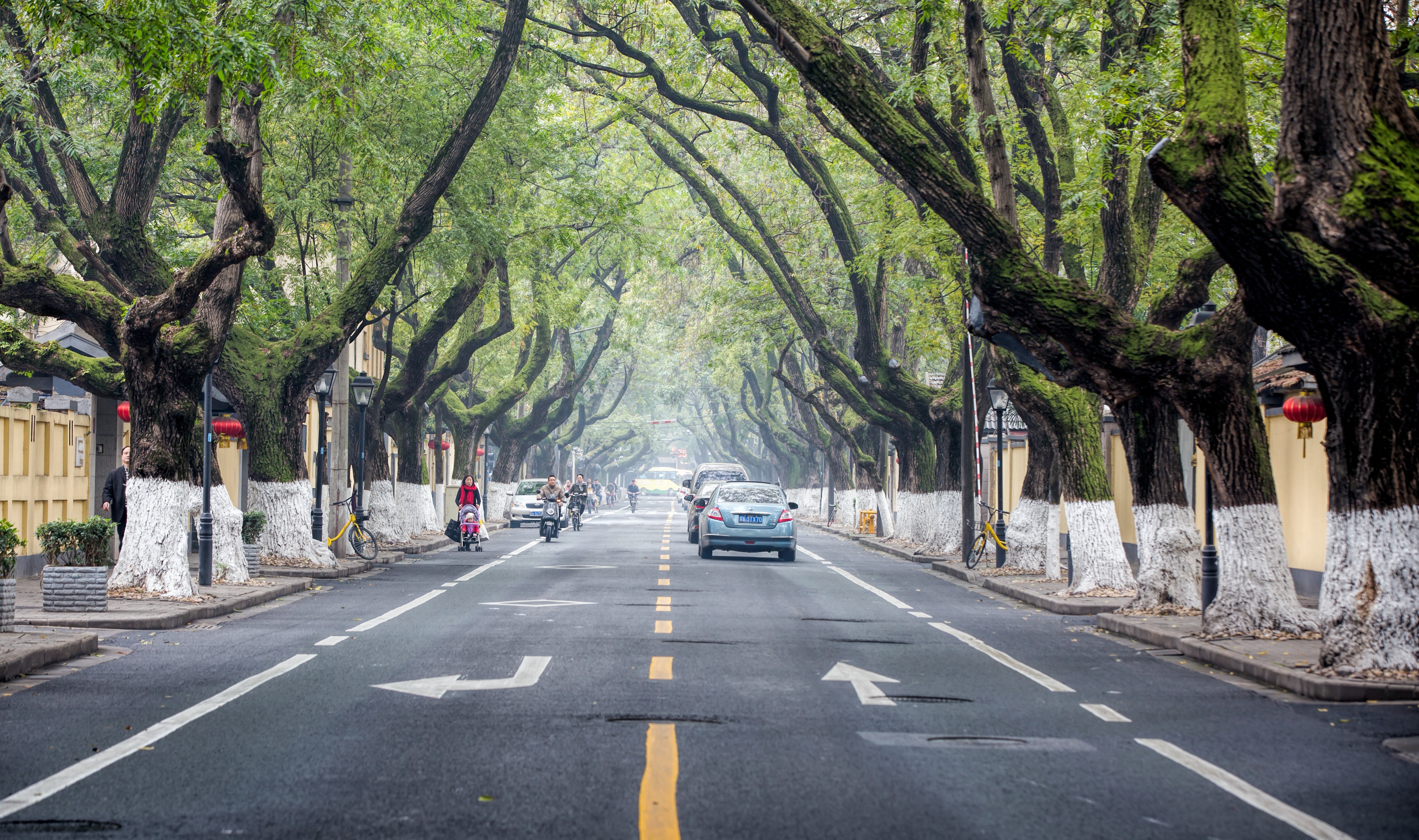 “春假大军”涌入南京：一座城市的诚意与定力