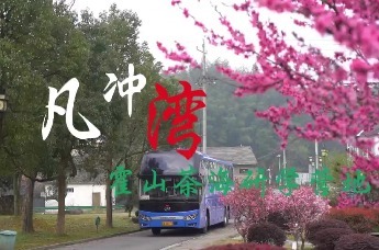 春假研学，就来六安