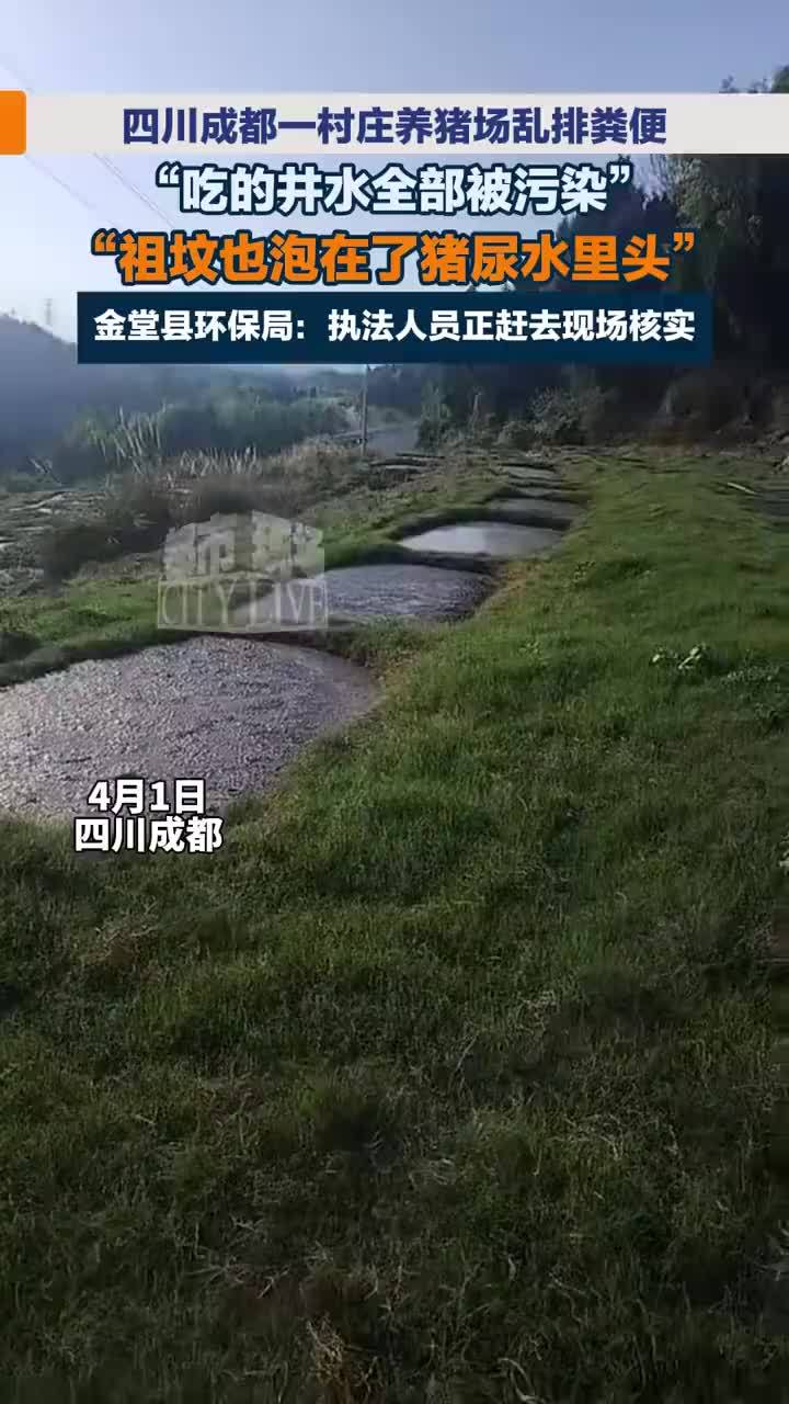 养猪场被指长期排粪水淹了村民祖坟，当地回应养猪场排粪水淹了村民祖坟