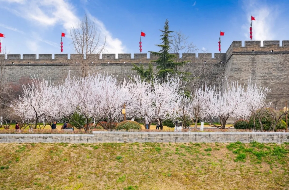 图源：西安城墙