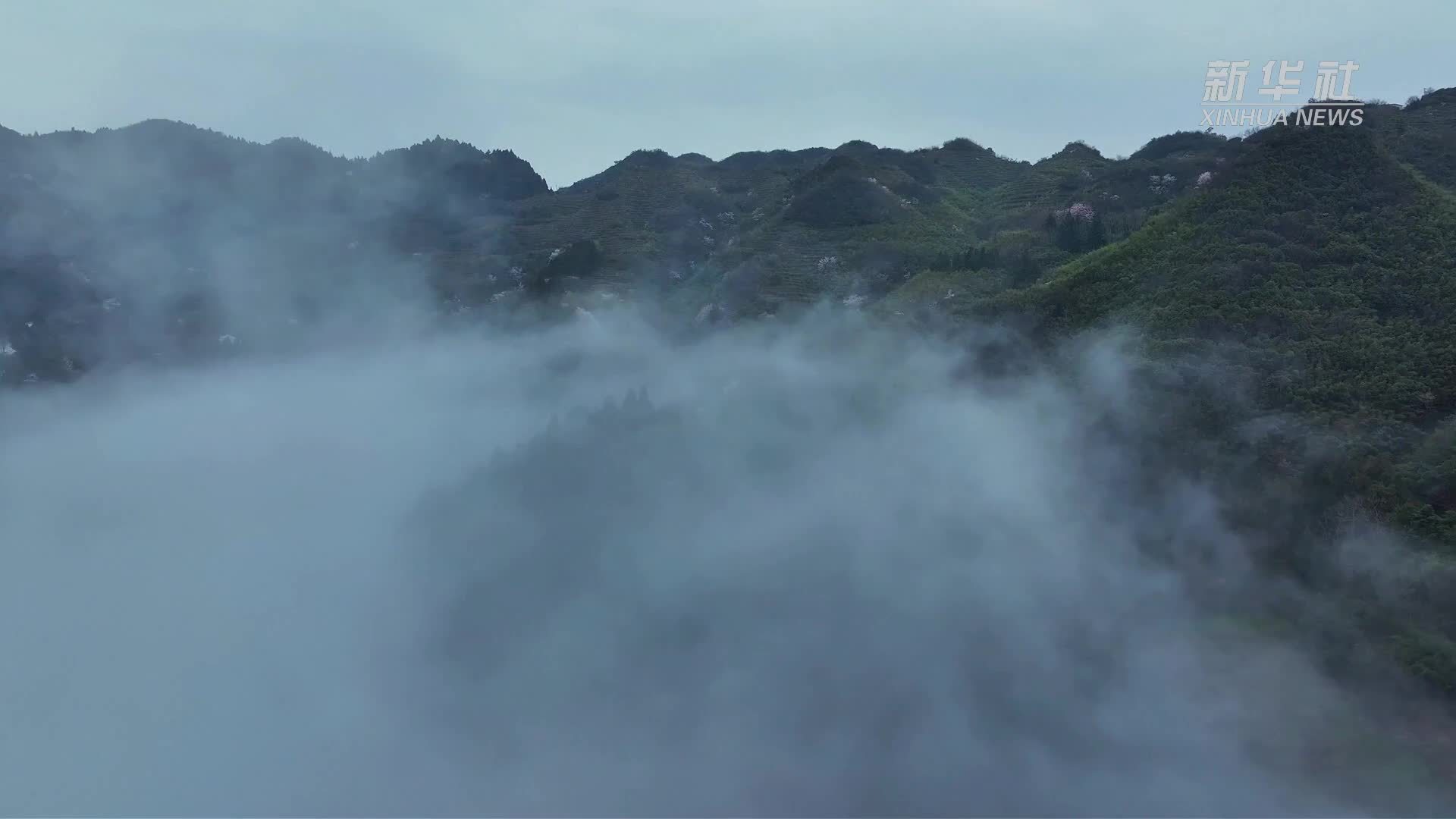 南岳衡山：春日云海入画来