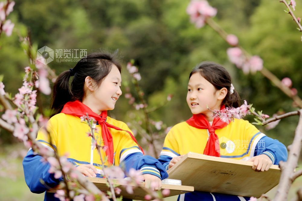江西宜春：桃花园里绘春天（图）