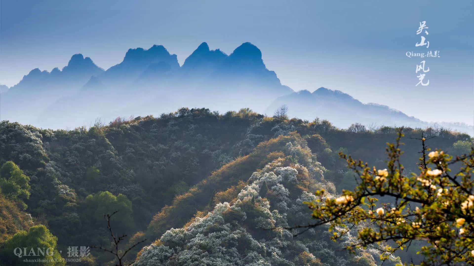 春日寶雞韻滿清明 文旅盛宴煥新迎客