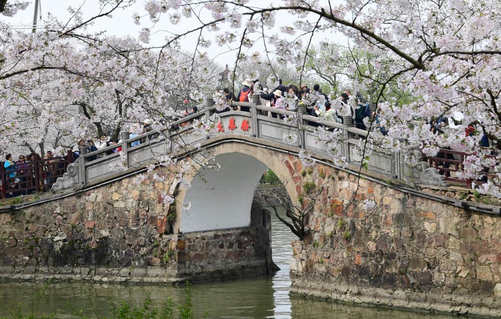 在繁花盛开里，奔赴一场温柔的遇见