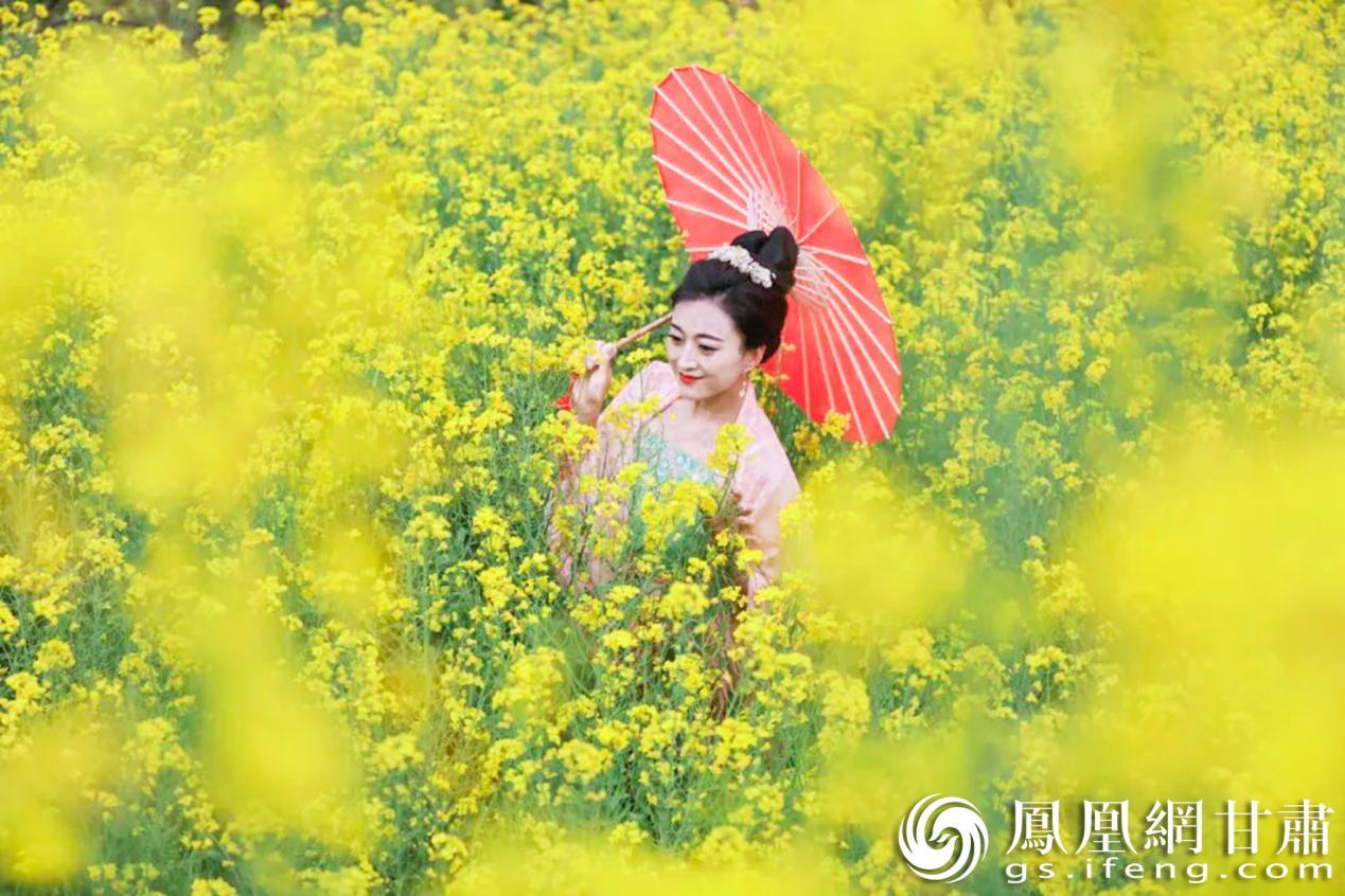 陇南市成县油菜花海绽放，游客纷至沓来。成县文化和旅游局供图