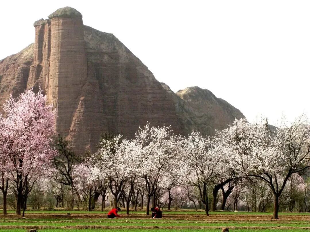 图源：东乡文旅