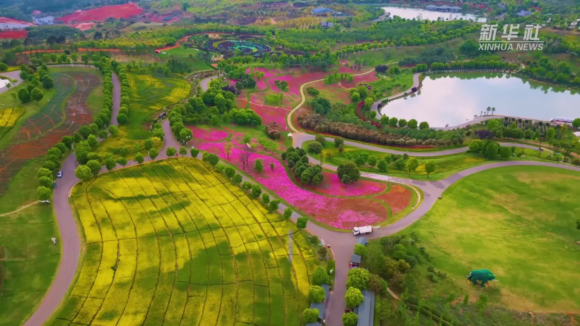 赏花+尝鲜+手作：云南弥勒太平湖森林公园春日活力拉满