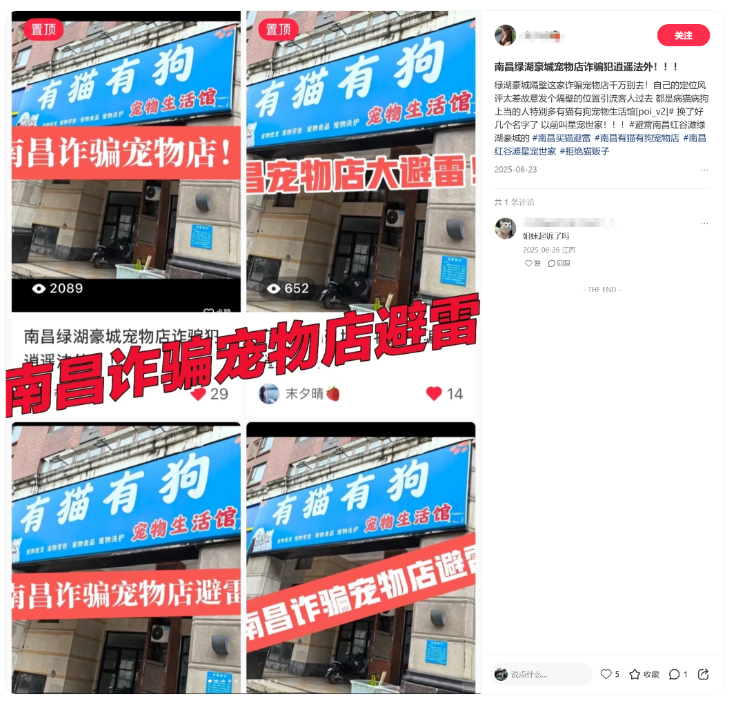 小猫买回家后拉肚子、呕吐 南昌消费者疑似买到“星期宠”陷维权难