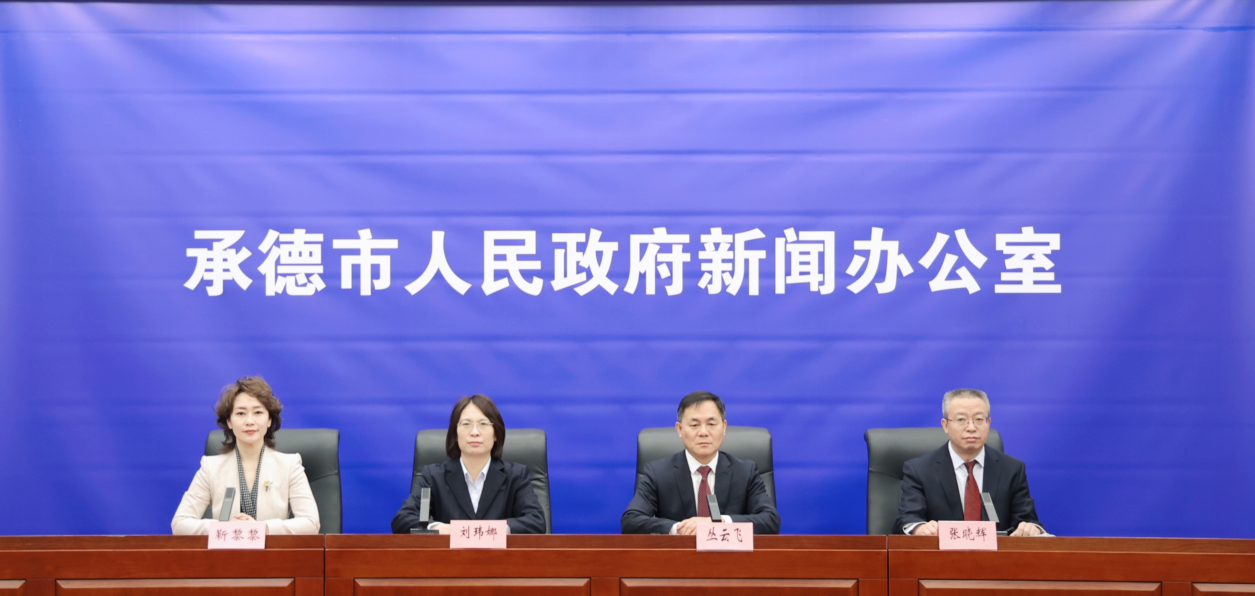 发布会 王占平摄