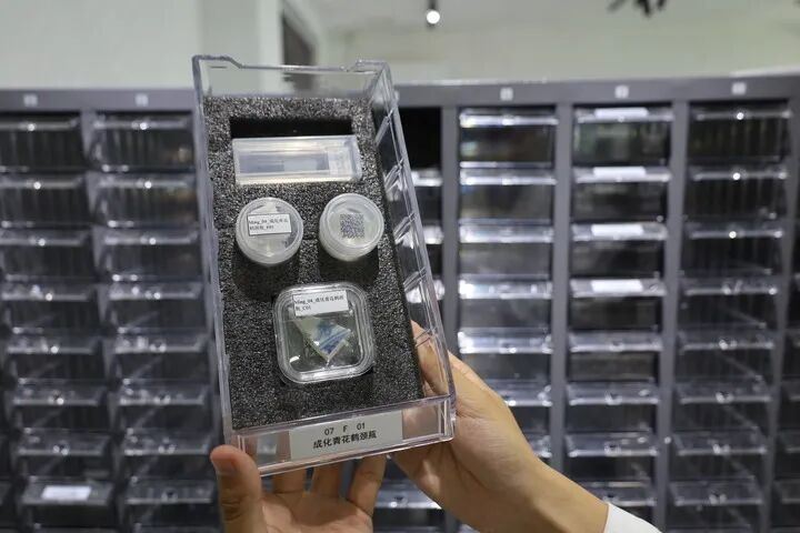 景德镇御窑博物院工作人员展示一份明成化时期的古陶瓷基因标本。王凯丰 摄