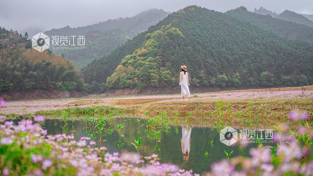 2026年4月1日在江西省吉安市新干县溧江镇培山水库拍摄的画面。