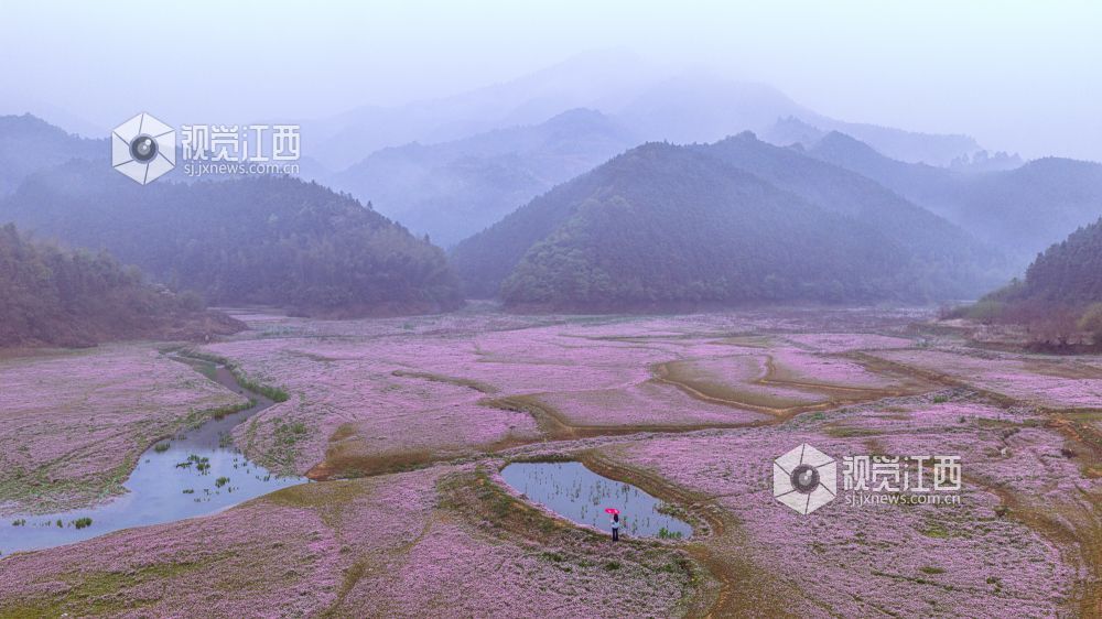 2026年3月28日在江西省吉安市新干县溧江镇培山水库拍摄的画面。