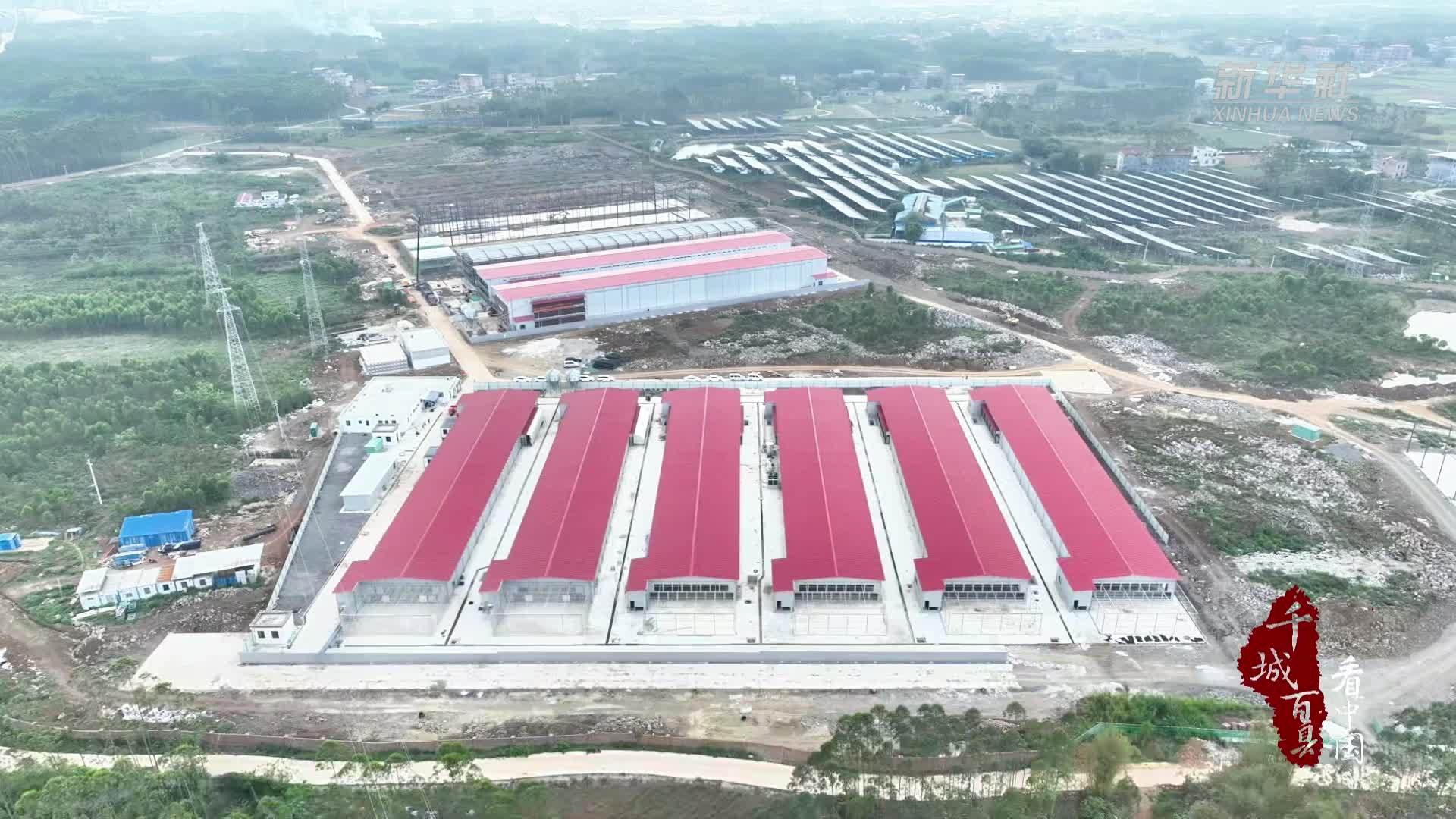 千城百县看中国｜广西覃塘：智能化养殖助力农业产业优化