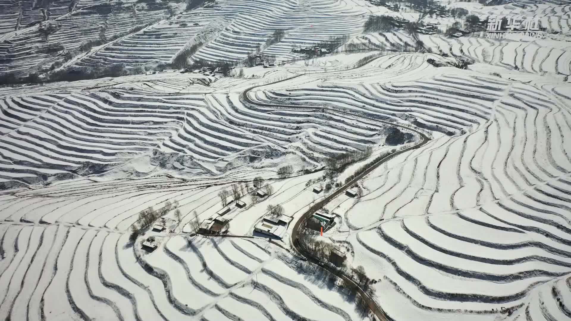 青海民和：春雪兆丰年