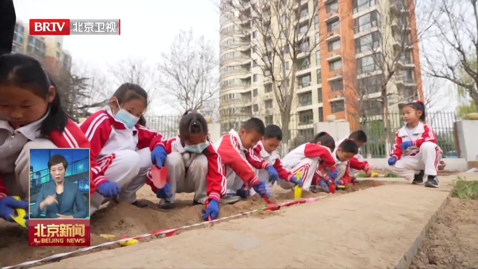 北京首次在全市启动树木认养行动 2000株树木静待守护