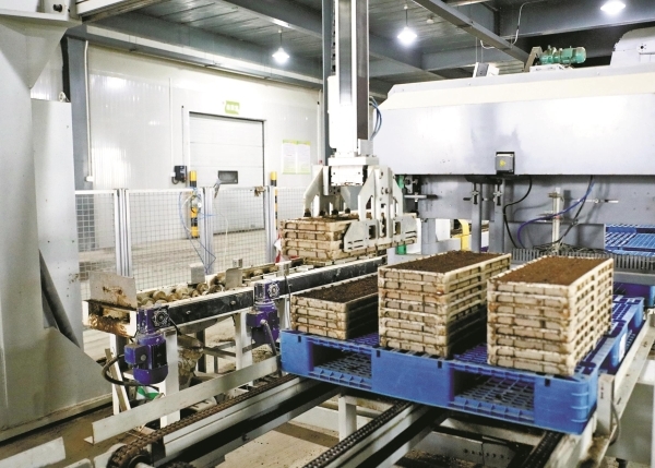 今年春耕 田畴可有新光景？