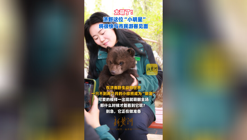 太萌了！济野这位“小明星”将很快与市民游客见面