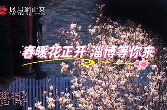 凤凰视频 | 春暖花正开 淄博等你来