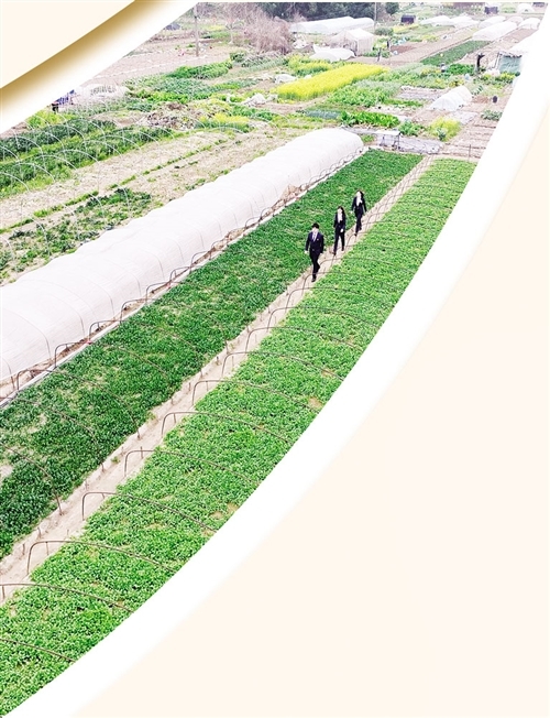 服务送进田间地头