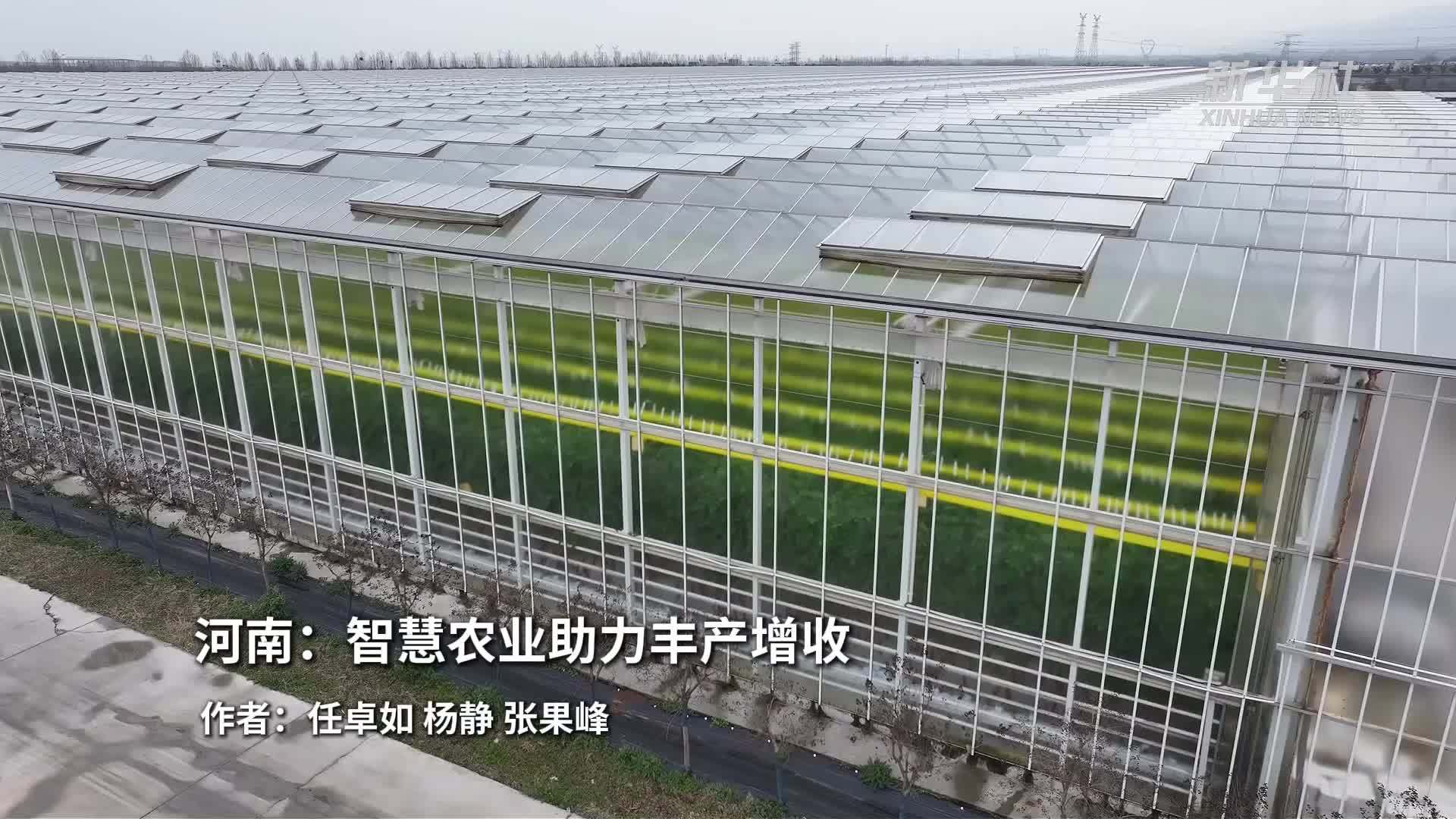 河南：智慧农业助力丰产增收